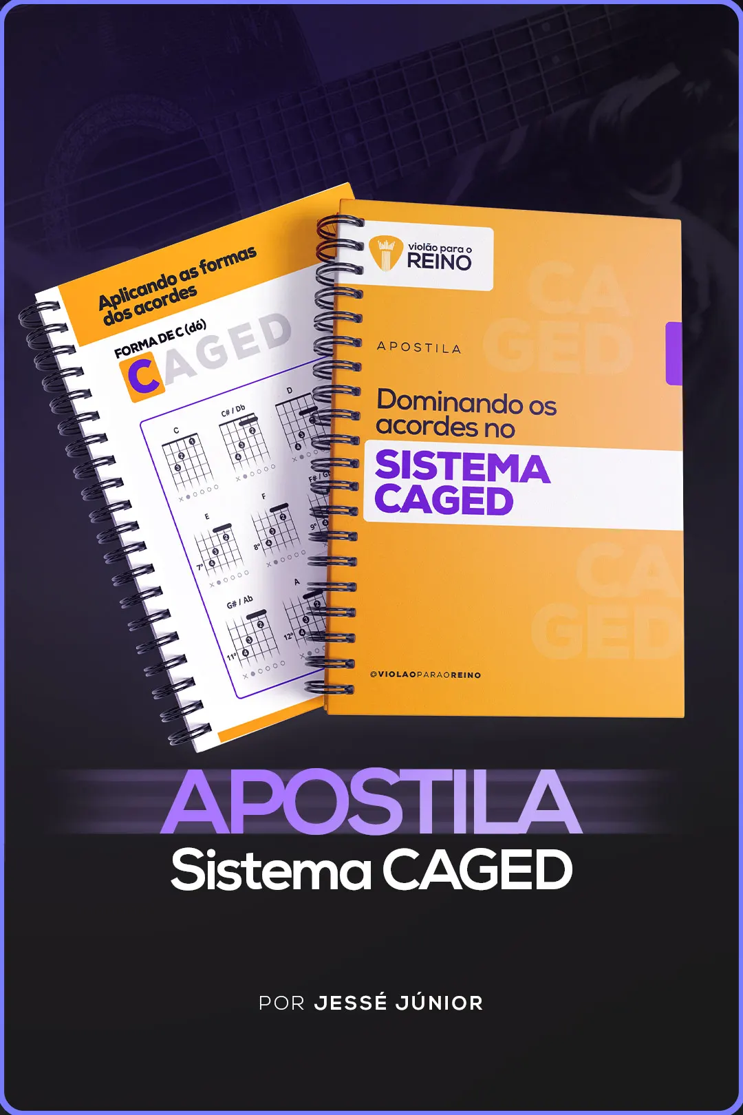 APOSTILA-CAGED copiar